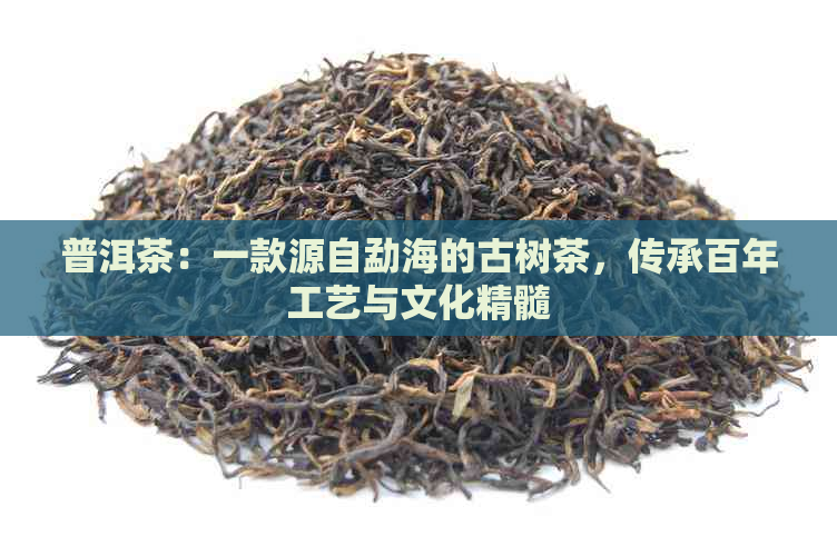 普洱茶：一款源自勐海的古树茶，传承百年工艺与文化精髓