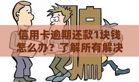 信用卡逾期还款1块钱怎么办？了解所有解决方法和可能的影响