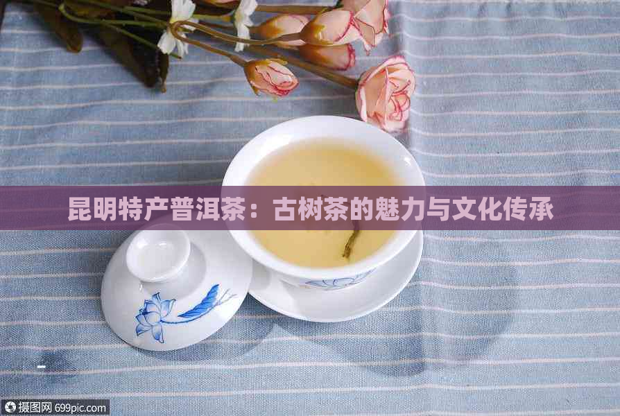 昆明特产普洱茶：古树茶的魅力与文化传承