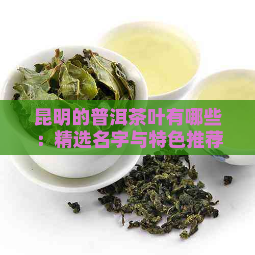 昆明的普洱茶叶有哪些：精选名字与特色推荐