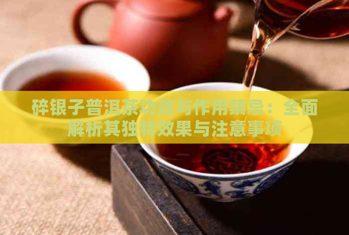 碎银子普洱茶功效与作用禁忌：全面解析其独特效果与注意事项