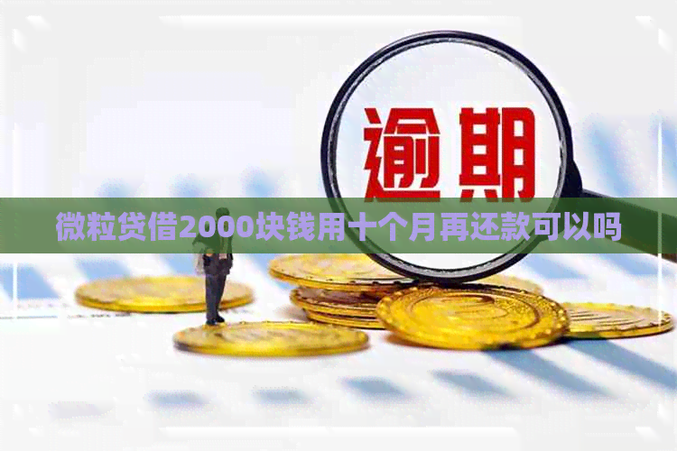 微粒贷借2000块钱用十个月再还款可以吗