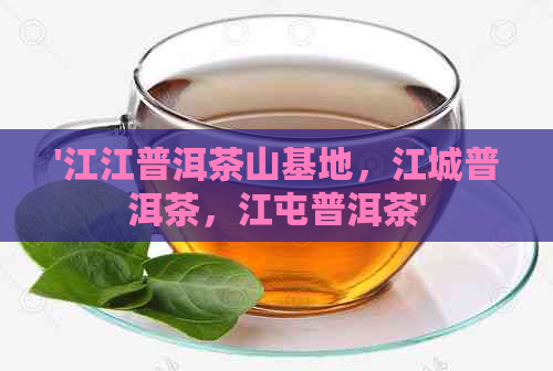 '江江普洱茶山基地，江城普洱茶，江屯普洱茶'