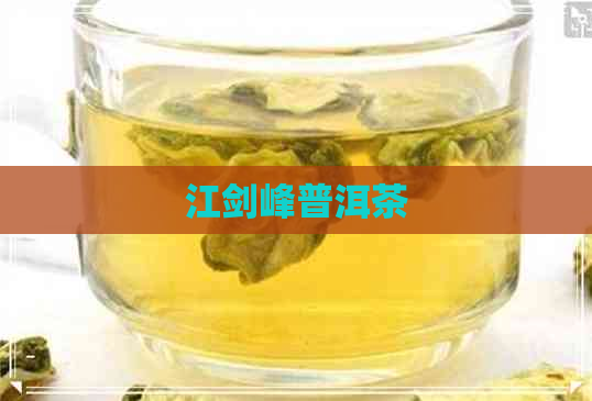 江剑峰普洱茶