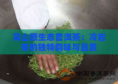 高山原生态普洱茶：冷岩茶的独特韵味与品质