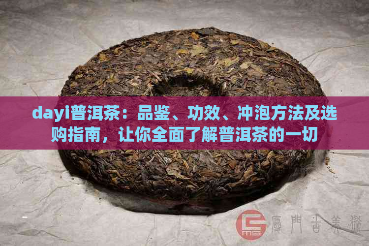 dayi普洱茶：品鉴、功效、冲泡方法及选购指南，让你全面了解普洱茶的一切