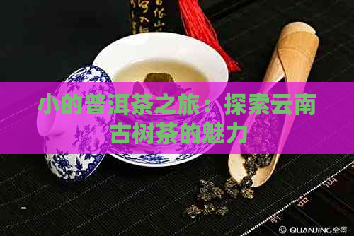 小的普洱茶之旅：探索云南古树茶的魅力