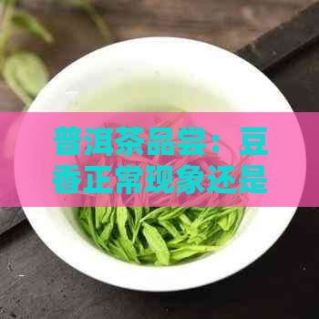 普洱茶品尝：豆香正常现象还是品质问题？