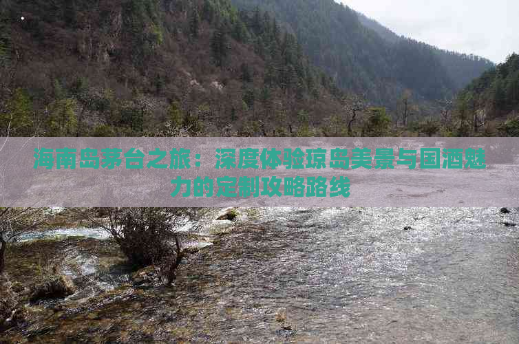 海南岛茅台之旅：深度体验琼岛美景与国酒魅力的定制攻略路线