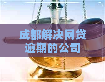 成都解决网贷逾期的公司