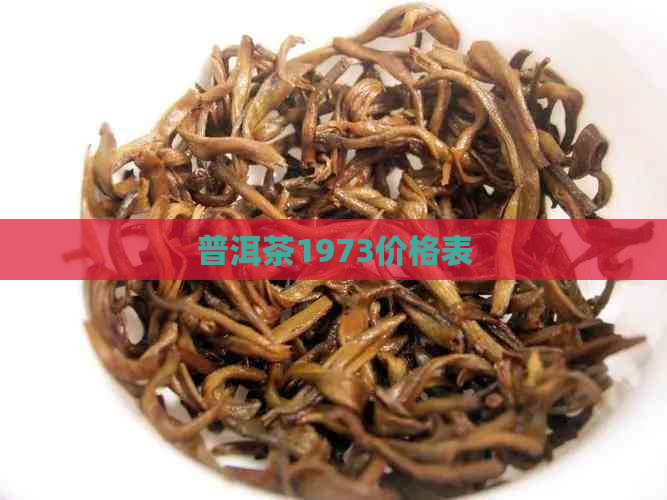 普洱茶1973价格表