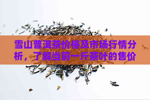 雪山普洱茶价格及市场行情分析，了解当前一斤茶叶的售价和购买渠道