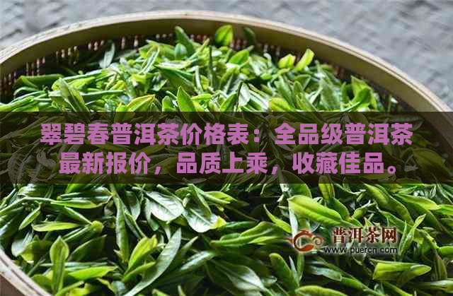 翠碧春普洱茶价格表：全品级普洱茶最新报价，品质上乘，收藏佳品。