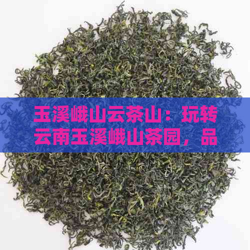 玉溪峨山云茶山：玩转云南玉溪峨山茶园，品味独特风味！