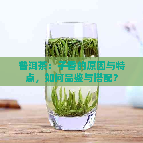 普洱茶：子香的原因与特点，如何品鉴与搭配？