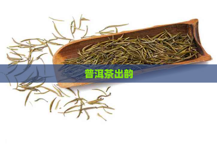 普洱茶出韵