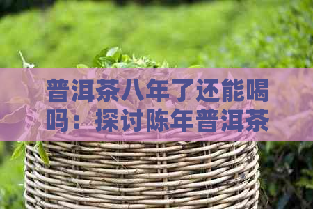 普洱茶八年了还能喝吗：探讨陈年普洱茶的品质与安全