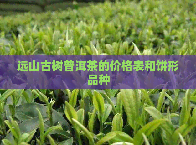 远山古树普洱茶的价格表和饼形品种