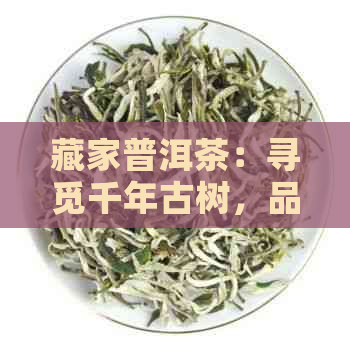 藏家普洱茶：寻觅千年古树，品味纯正熟茶，探寻普洱茶的文化与历