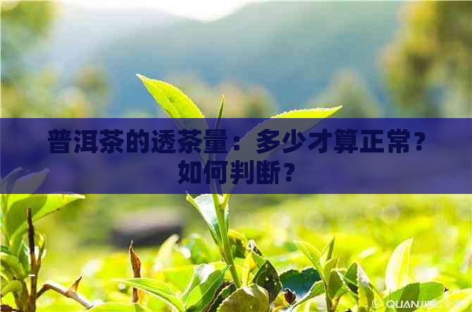 普洱茶的透茶量：多少才算正常？如何判断？