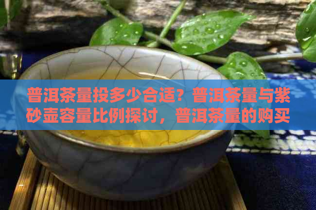 普洱茶量投多少合适？普洱茶量与紫砂壶容量比例探讨，普洱茶量的购买与交流