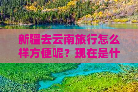 新疆去云南旅行怎么样方便呢？现在是什么时候更好去？