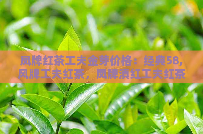 凤牌红茶工夫金芽价格：经典58,风牌工夫红茶，凤牌滇红工夫红茶报价