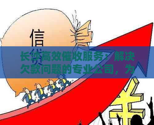 长沙高效服务：解决欠款问题的专业公司，为您提供全面解决方案