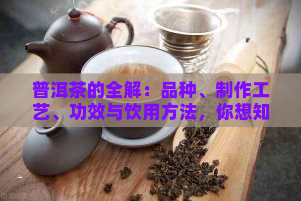 普洱茶的全解：品种、制作工艺、功效与饮用方法，你想知道的都在这里！