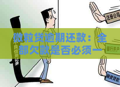 微粒贷逾期还款：全部欠款是否必须一次性偿还？