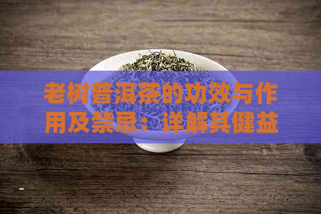 老树普洱茶的功效与作用及禁忌：详解其健益处和注意事项