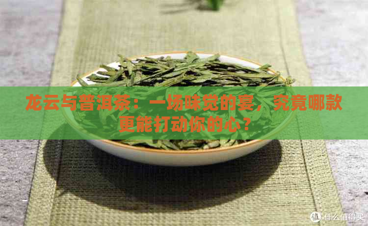 龙云与普洱茶：一场味觉的宴，究竟哪款更能打动你的心？