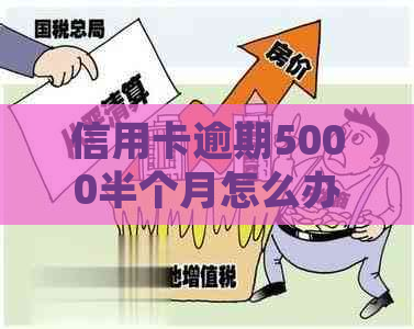 信用卡逾期5000半个月怎么办如何处理逾期问题及利息计算