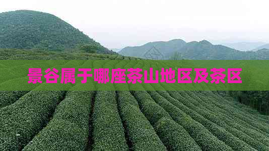 景谷属于哪座茶山地区及茶区