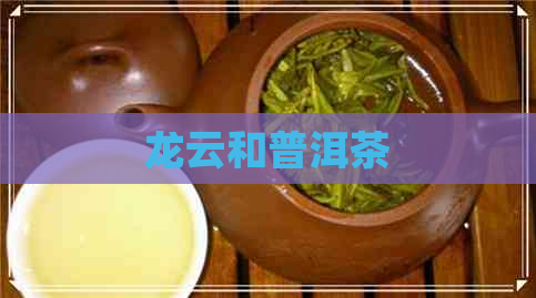 龙云和普洱茶