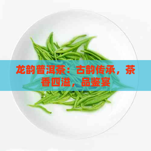 龙韵普洱茶：古韵传承，茶香四溢，品鉴宴