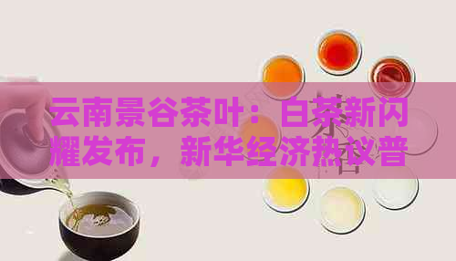 云南景谷茶叶：白茶新闪耀发布，新华经济热议普洱茶价格