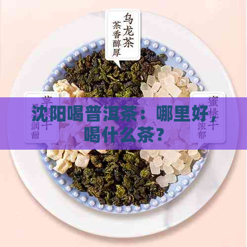 沈阳喝普洱茶：哪里好，喝什么茶？