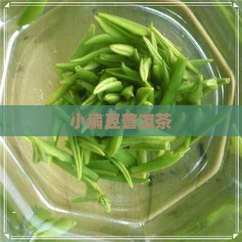 小扁豆普洱茶