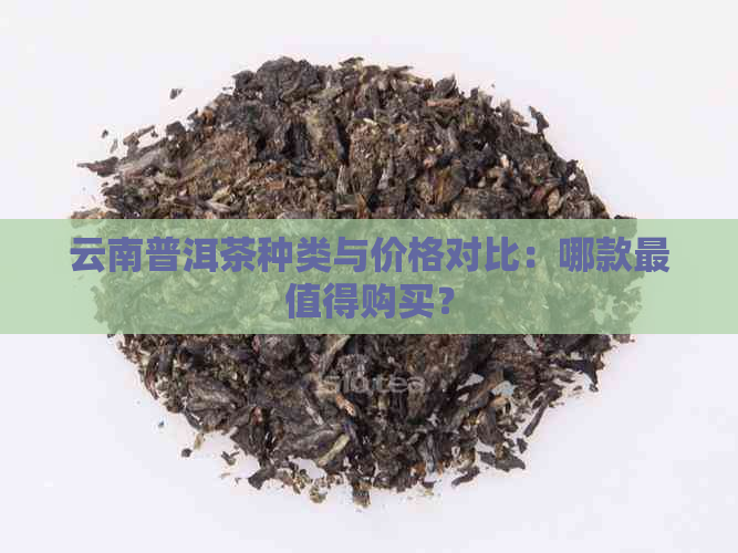 云南普洱茶种类与价格对比：哪款最值得购买？