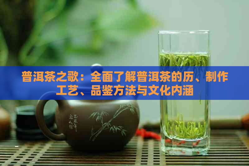 普洱茶之歌：全面了解普洱茶的历、制作工艺、品鉴方法与文化内涵