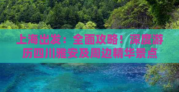 上海出发：全面攻略！深度游历四川雅安及周边精华景点