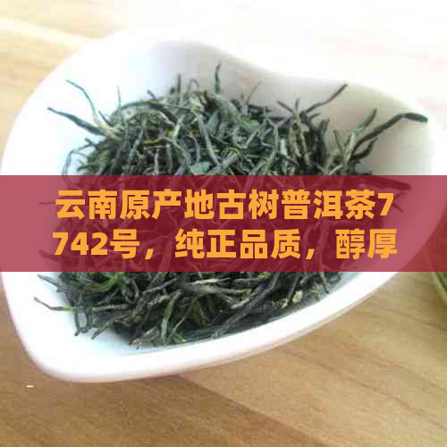 云南原产地古树普洱茶7742号，纯正品质，醇厚口感，收藏与品茗的完美结合