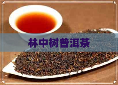 林中树普洱茶