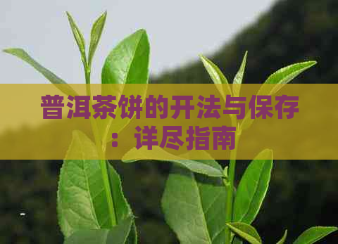 普洱茶饼的开法与保存：详尽指南