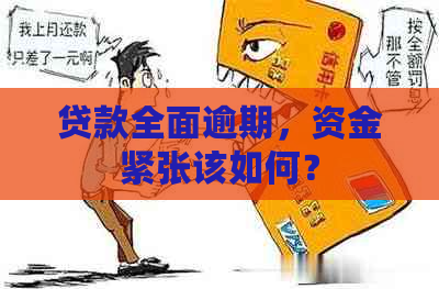 贷款全面逾期，资金紧张该如何？