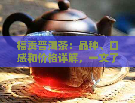 福贡普洱茶：品种、口感和价格详解，一文了解云南茶叶价值