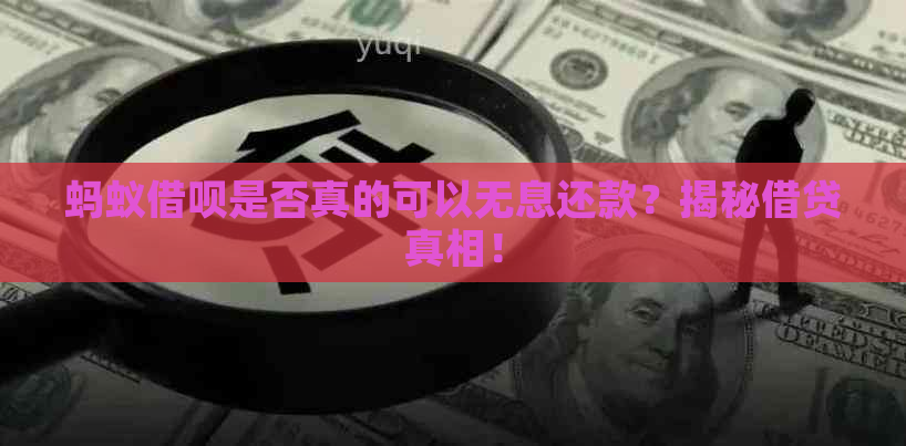 蚂蚁借呗是否真的可以无息还款？揭秘借贷真相！