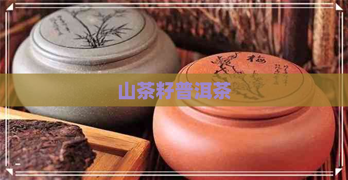 山茶籽普洱茶