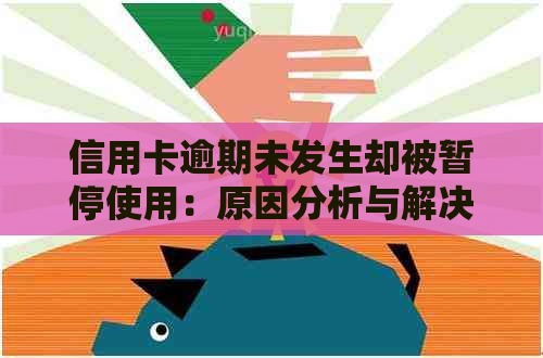 信用卡逾期未发生却被暂停使用：原因分析与解决方案